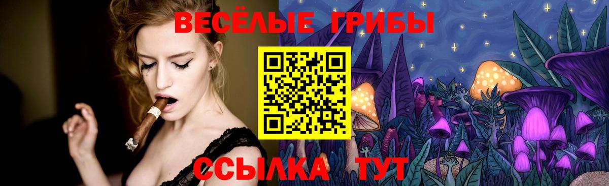 Галлюциногенные грибы прущие грибы Севастополь